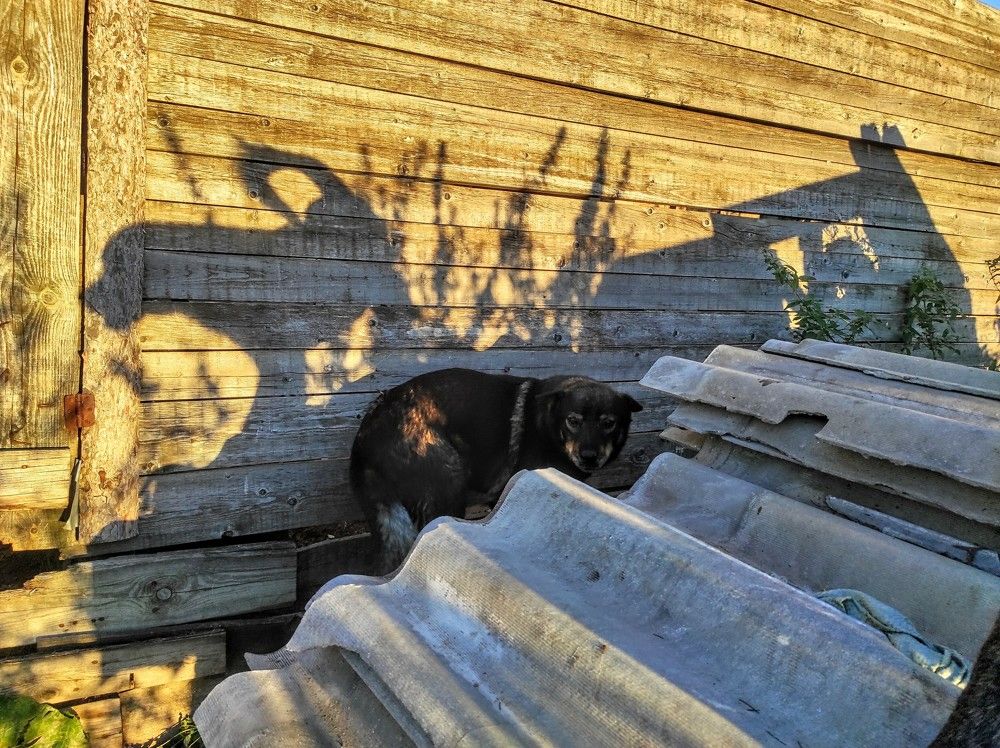 Photograph by Ирина Саттарова