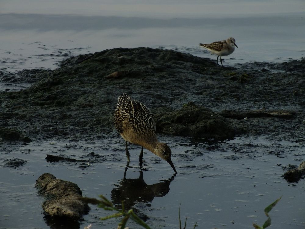 Photograph by Сергей Горбунов