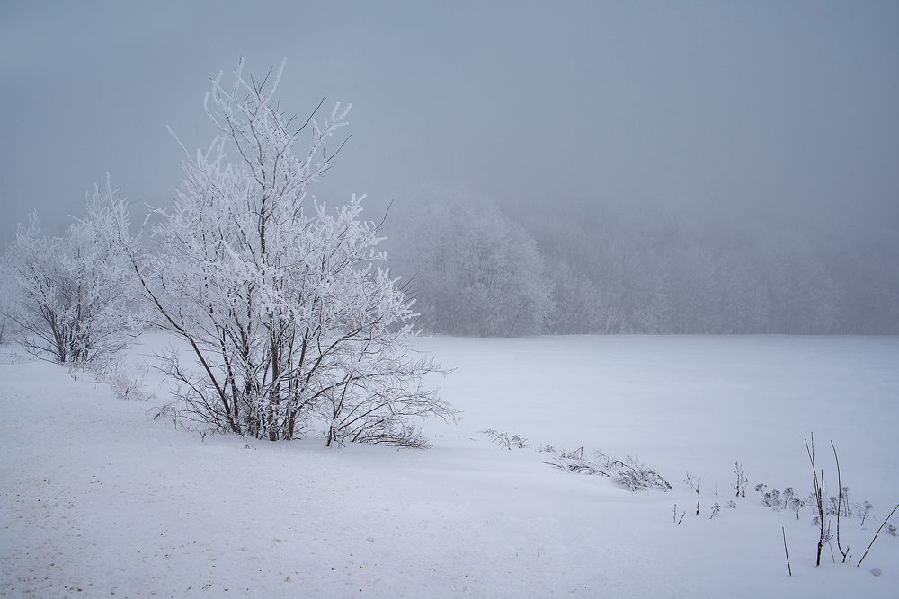 Photograph by Дзюба Нелли