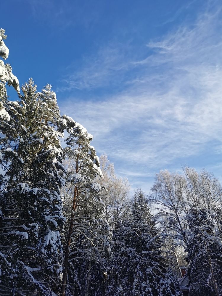Фотография автора Ольга Матусевич