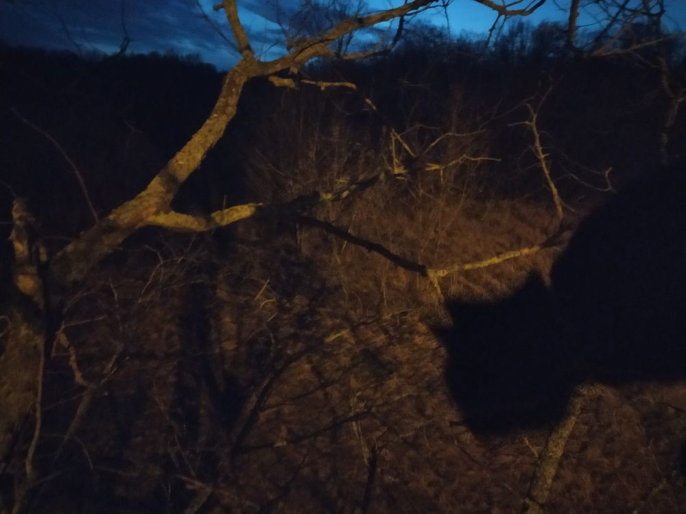 Фотография автора Иван