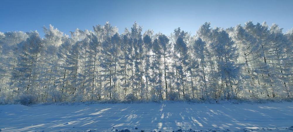 Photograph by Aleksei Bobkin