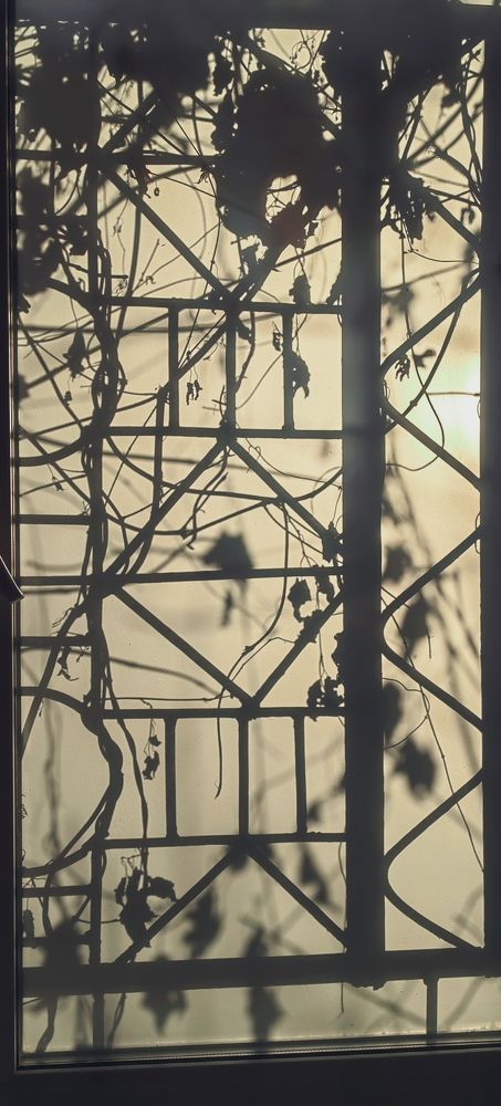 Солнечный закат в декабре