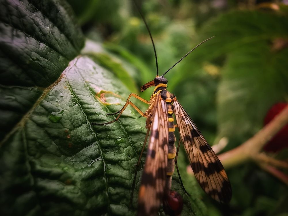 Photograph by Колоскова Мария