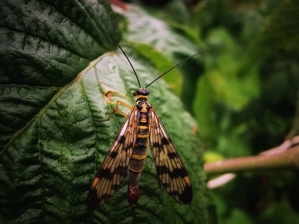 Photograph by Колоскова Мария