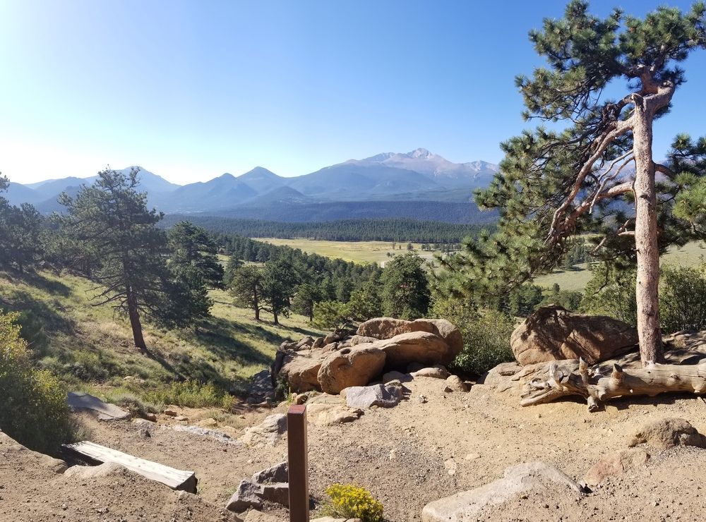 Photo #8577282