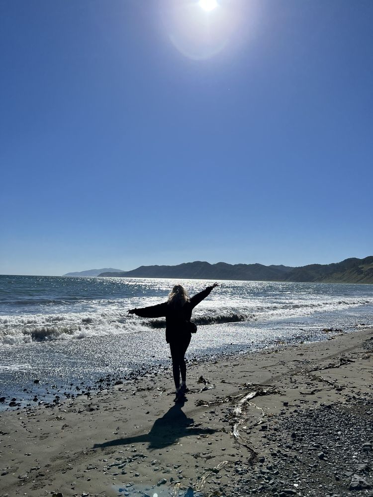 У Японского моря вблизи Мыса Евстафия на острове Сахалин