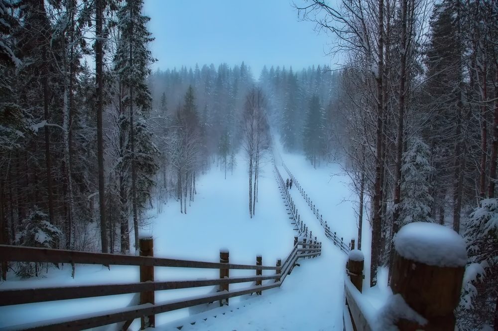 Photograph by Олег Раков