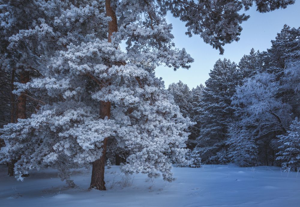 Photograph by Павел Гавриков