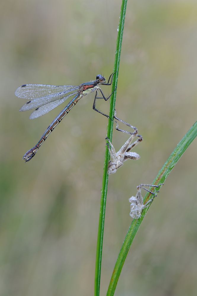 Секонд хенд.