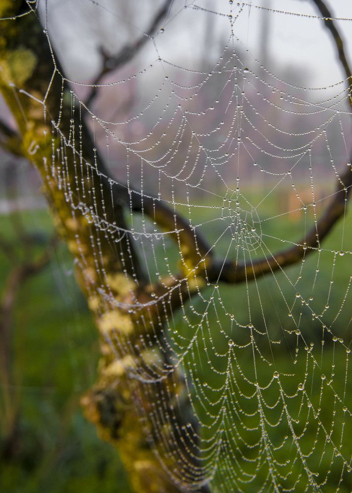 Photograph by Alexandros Melidis