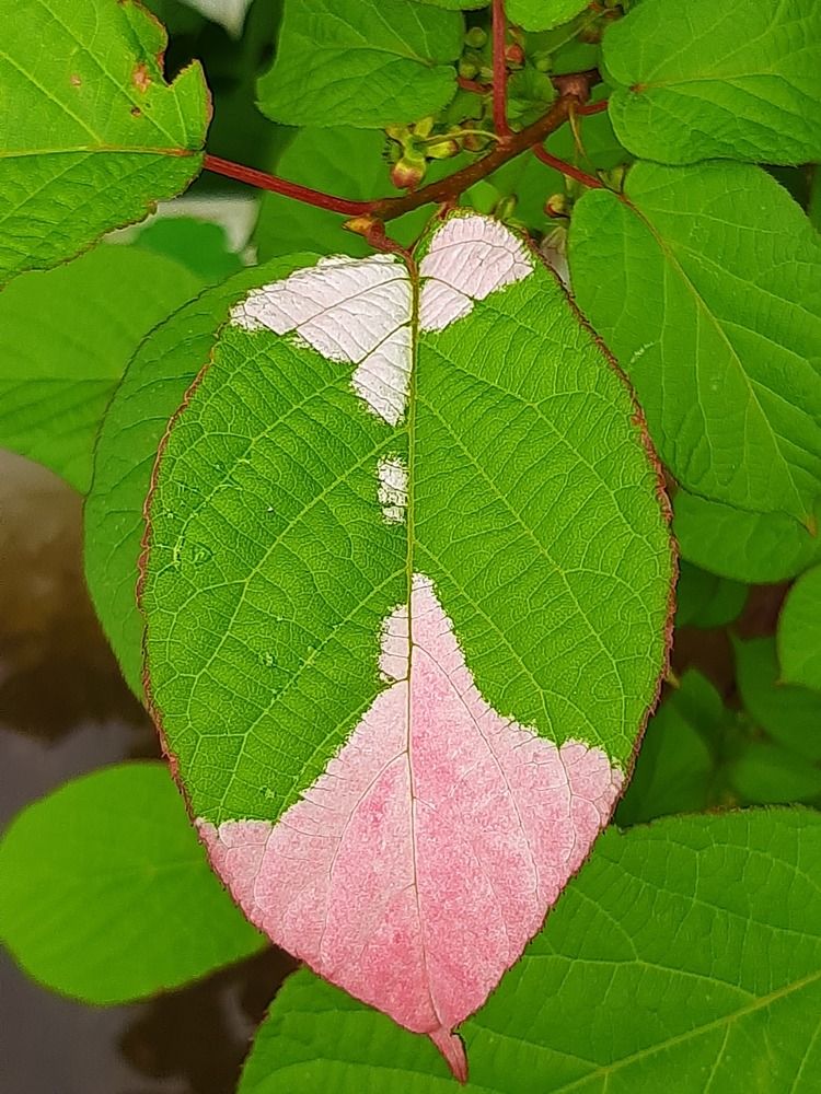 Photograph by Дарья Бобылева