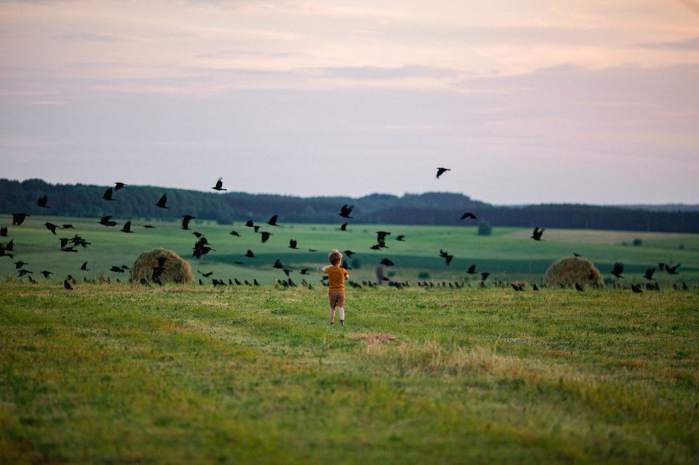 Photograph by Эля Булыгина