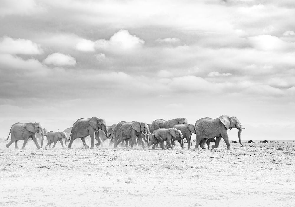 Фотография автора Subi Sridharan