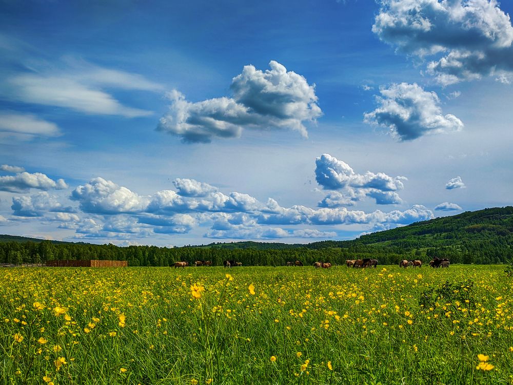 Photograph by Ишниязов Марсель