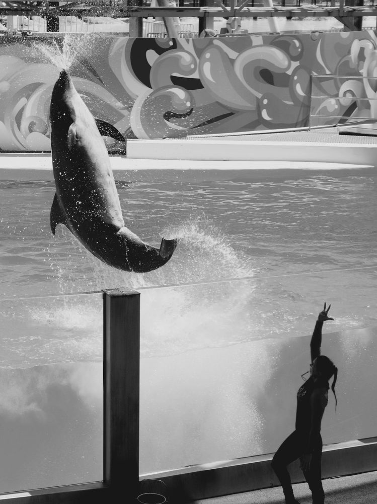 Photograph by Алексейчик Дмитрий