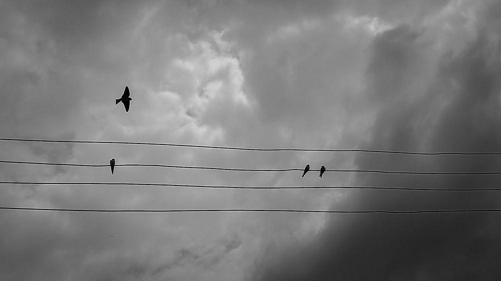 Photograph by mahdi ghanbari