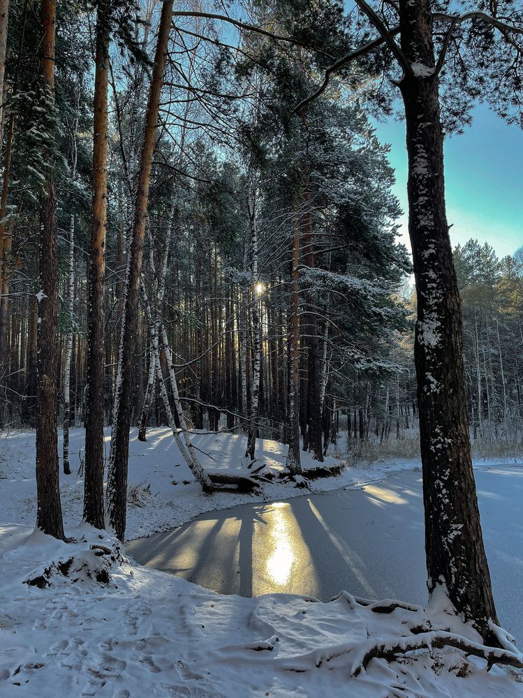 Photograph by Ксения Григорьева