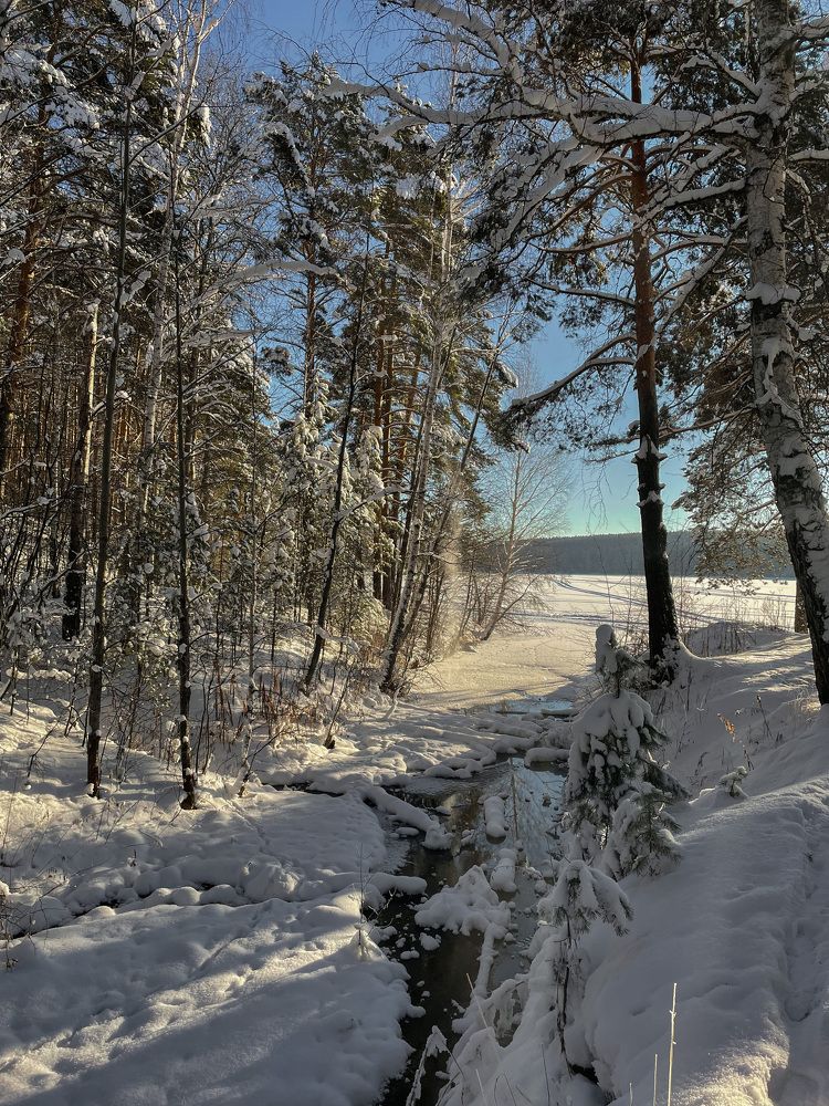 Photograph by Ксения Григорьева