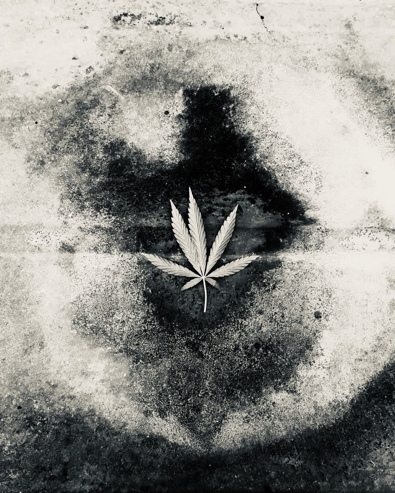 Photograph by Дарья Бобылева