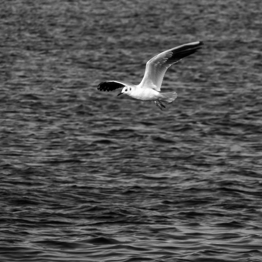 Фотография автора Furqan Hadier