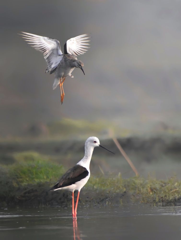 Photograph by Sourin Kastha