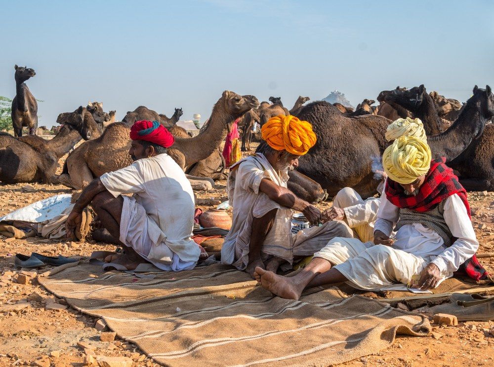 Photograph by Ranjith Kumar