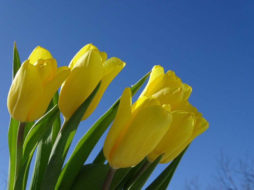 Photograph by Марина Мишина