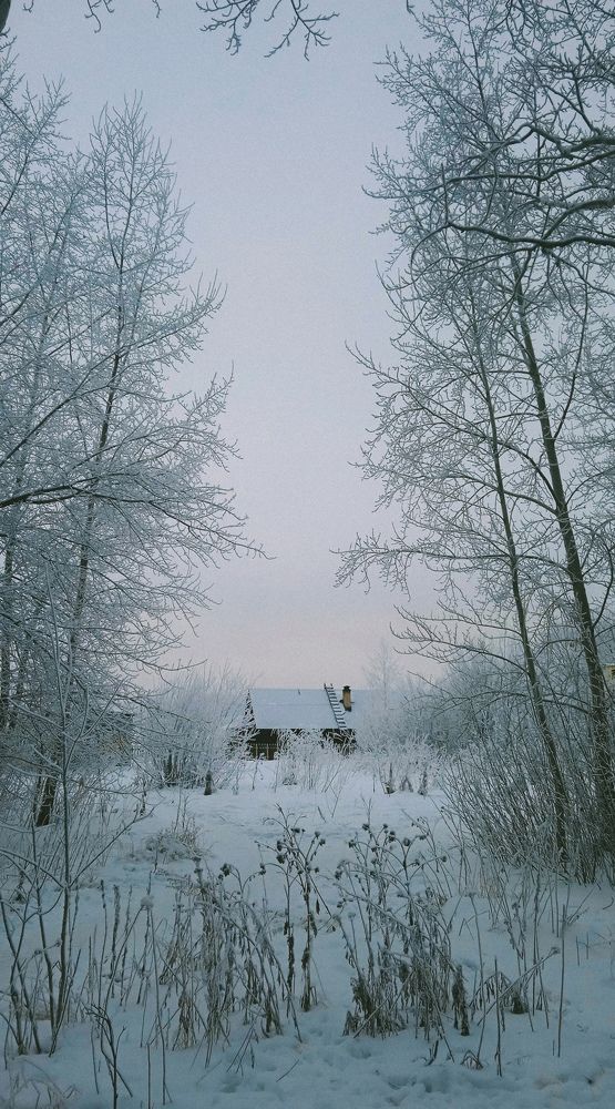 Photo #8577997