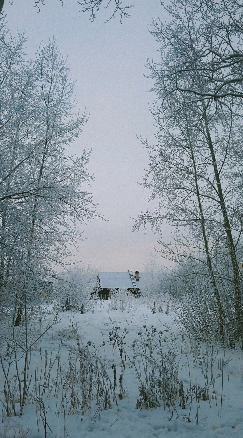 Photo #8577997