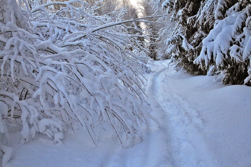 Photograph by Ирина Архипова