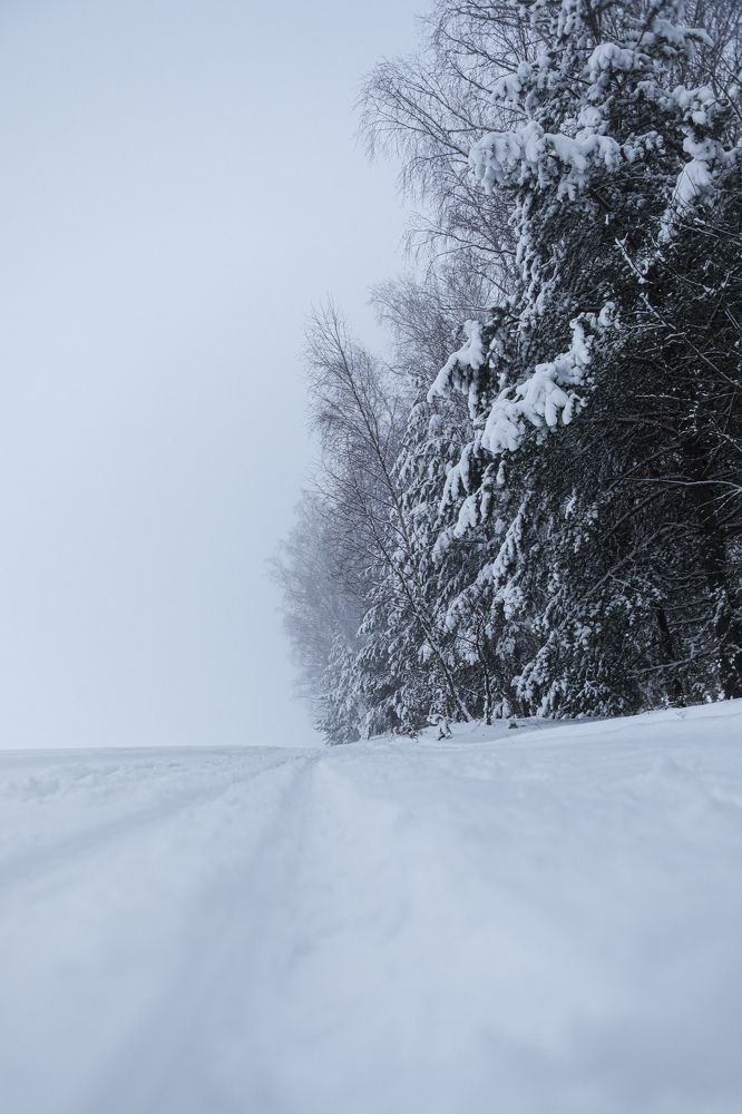 Photograph by Sergey Uskov