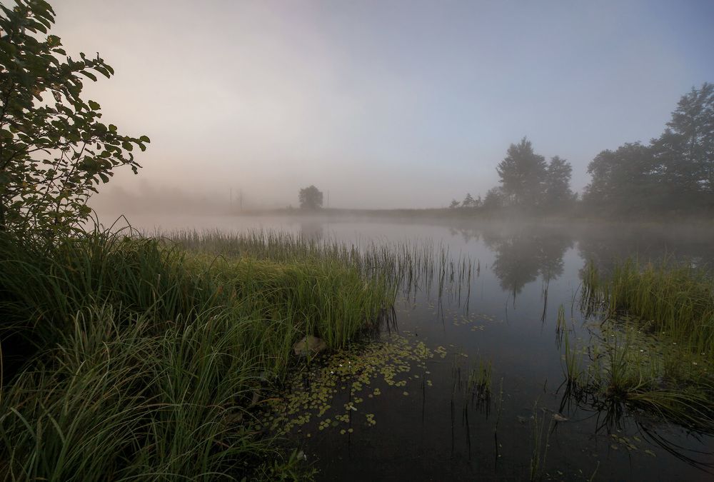 Photograph by Владимир Архипов