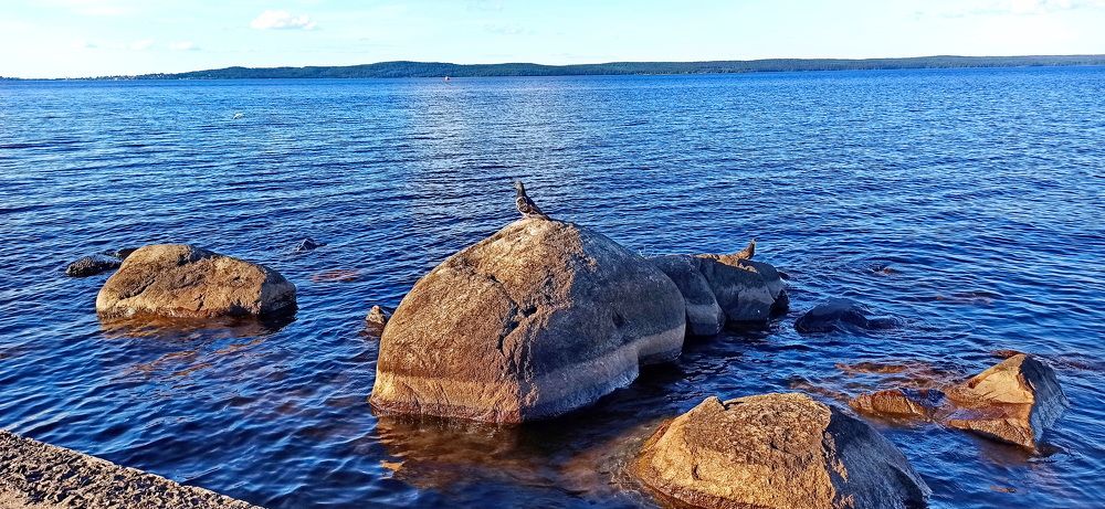 Фотография автора Сергей
