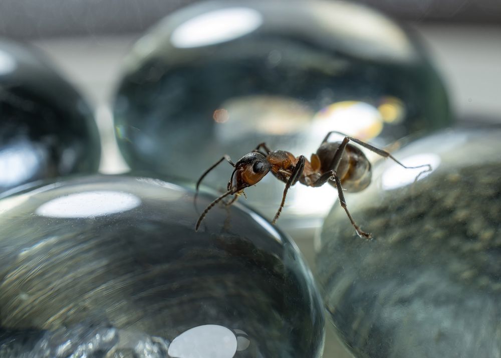 Photograph by Людмила Железнова