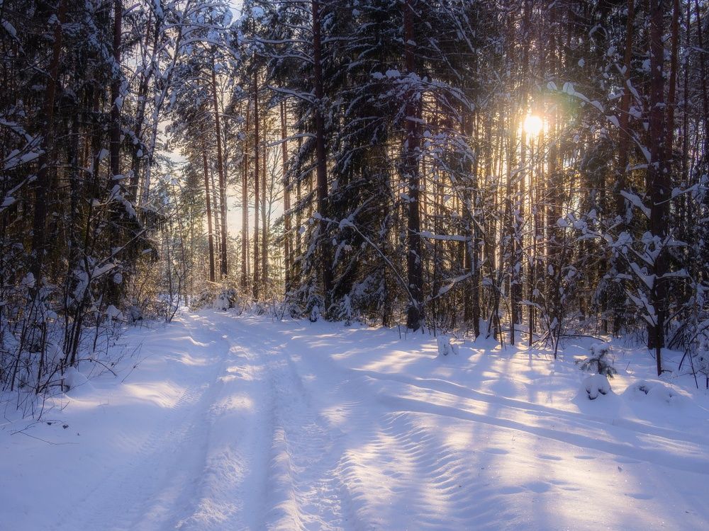 Фотография автора Андрей Врубель