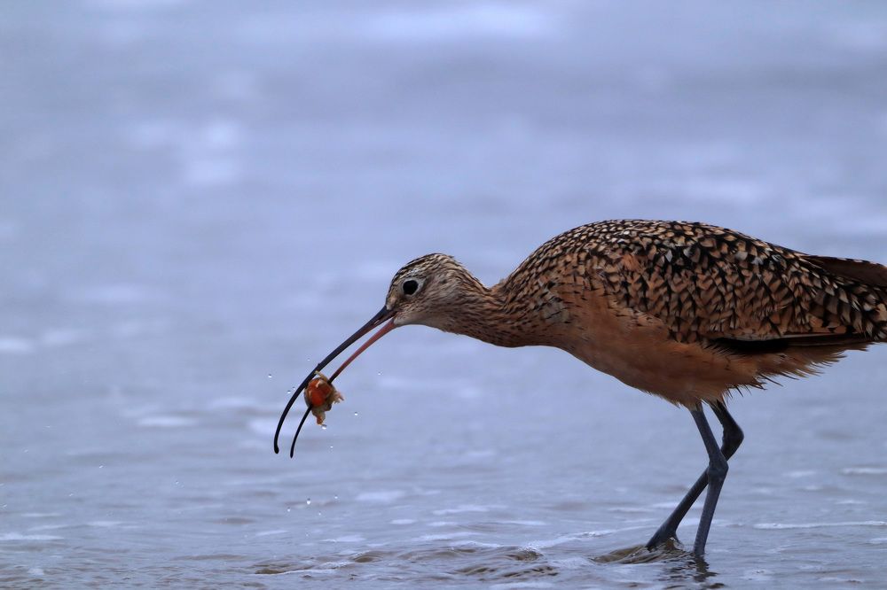 Photograph by Евгений