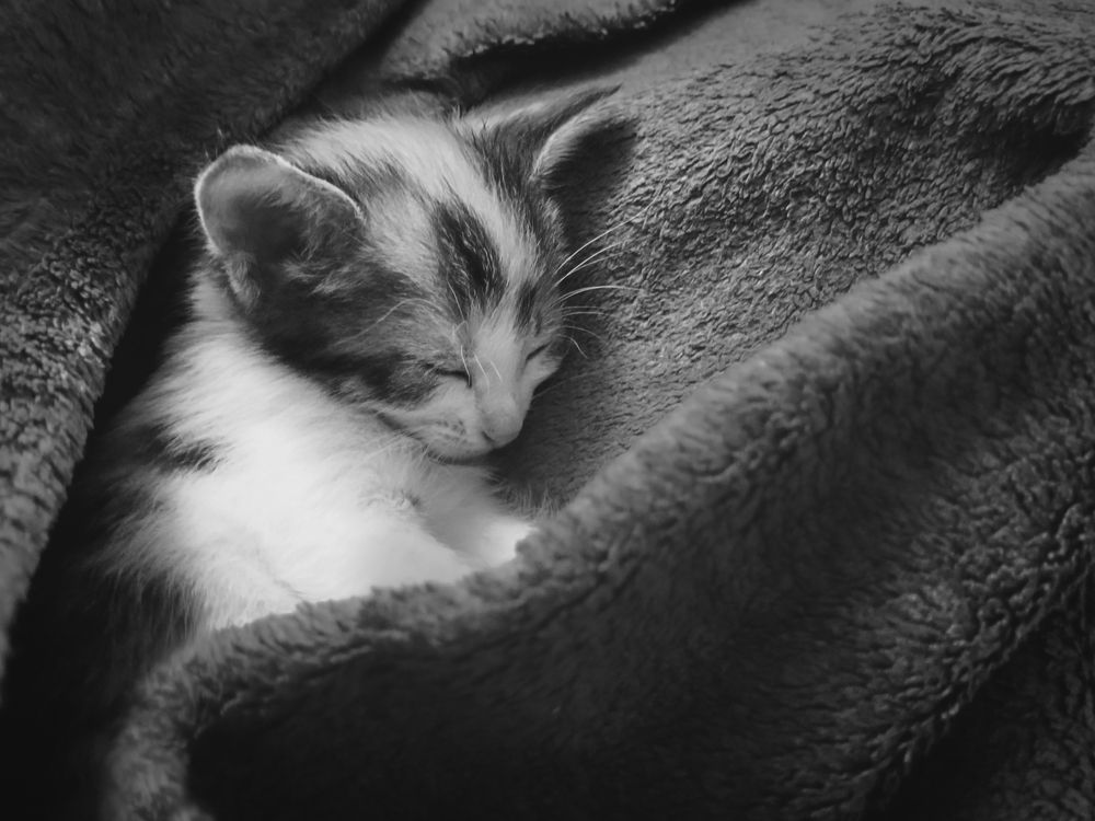 Photograph by Елена Майфет