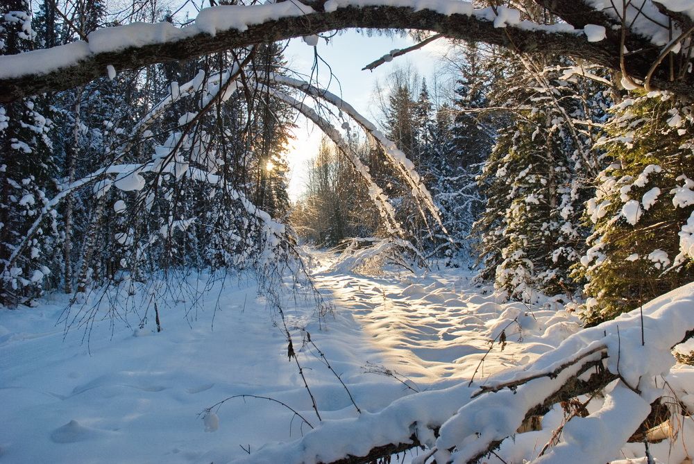 Фотография автора Сергей