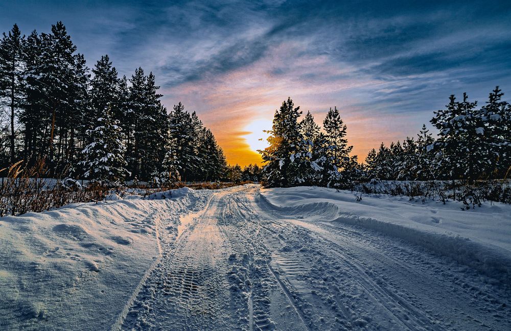 Лесная дорога