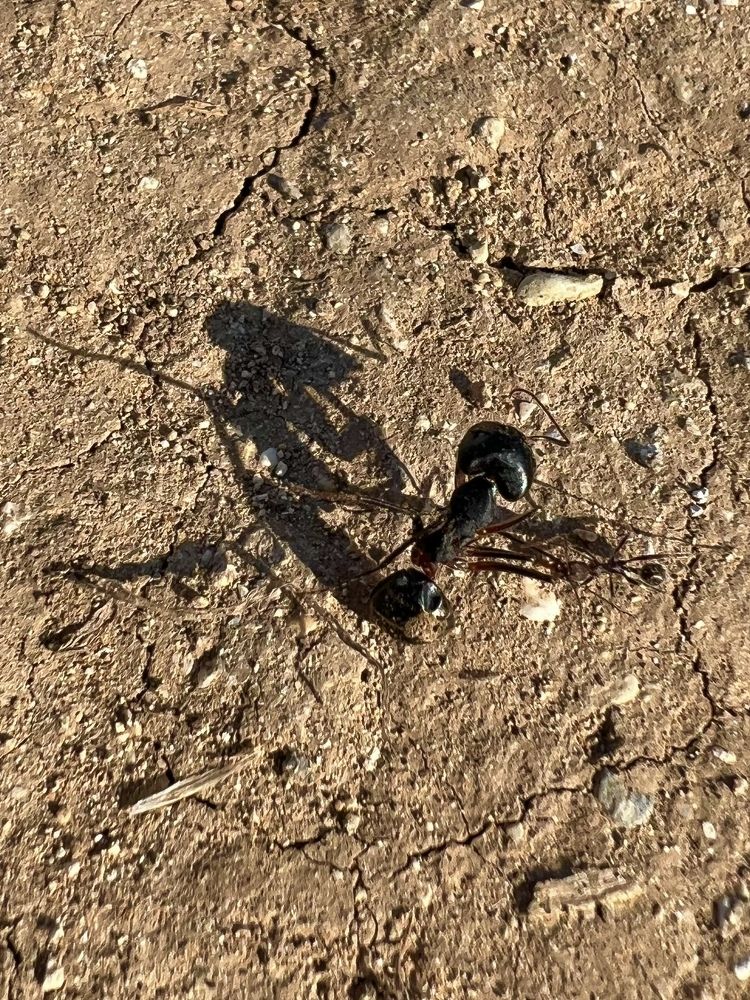 Photograph by Шестакова Наталья