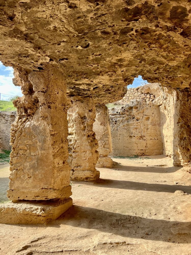 Photograph by Шестакова Наталья