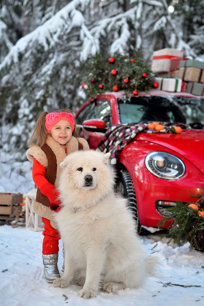 Photograph by Виктория Салодкая