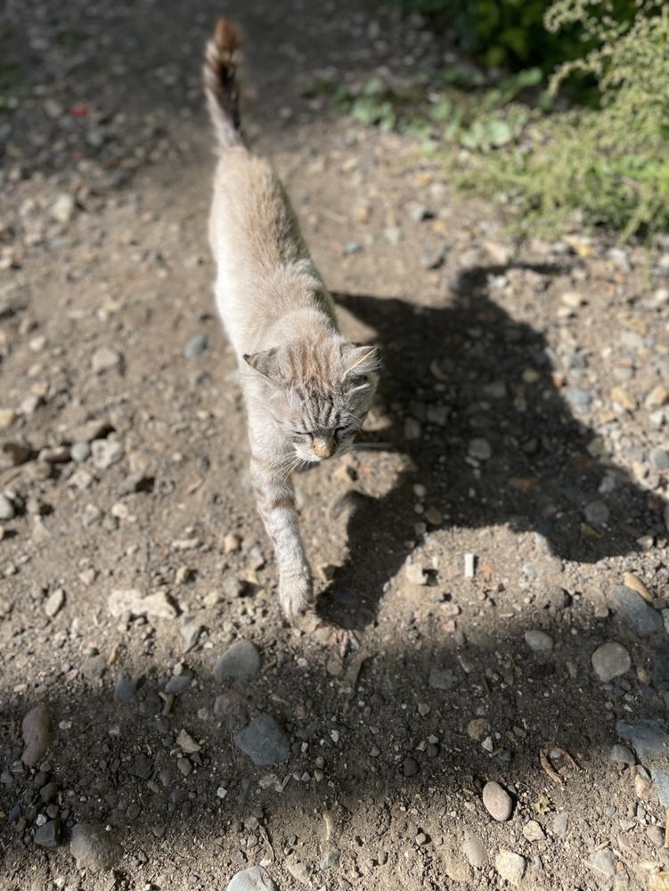 Photograph by Григорий Лыжин