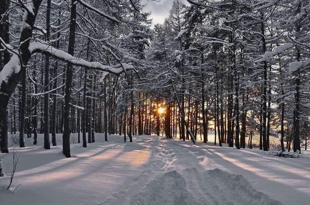 Photograph by Лидия Ушакова