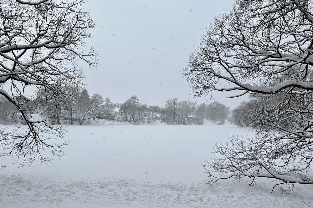 Photograph by Анна Лепихина