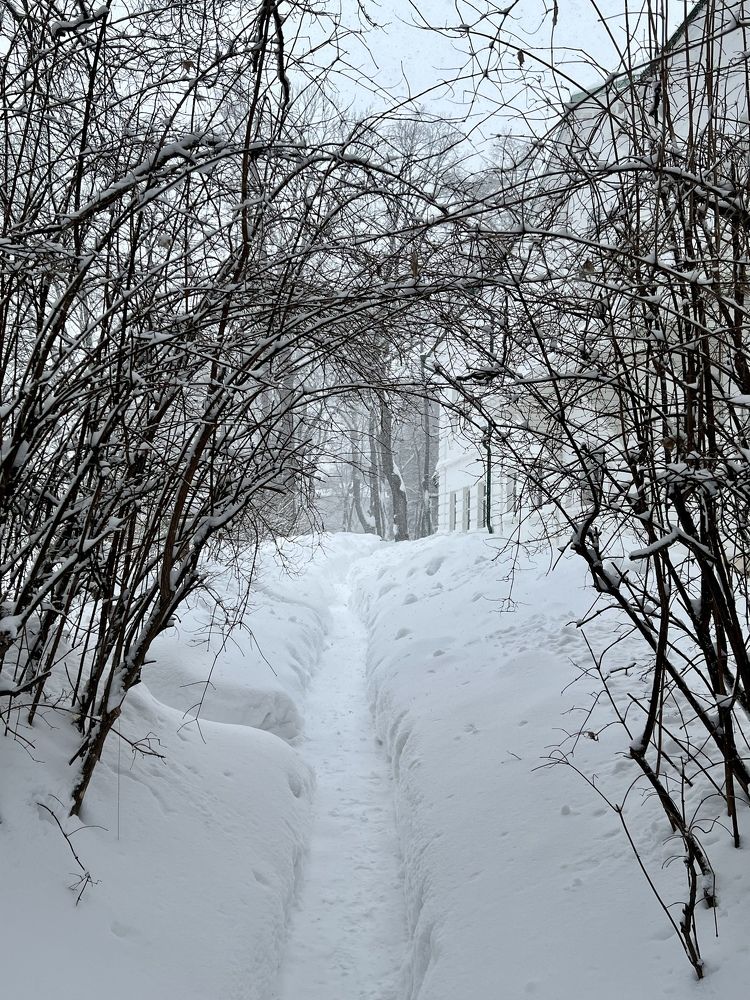 Photograph by Анна Лепихина