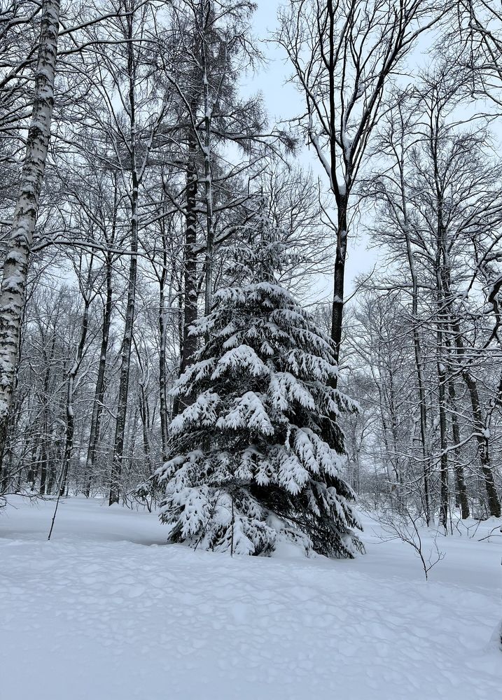 Photograph by Анна Лепихина