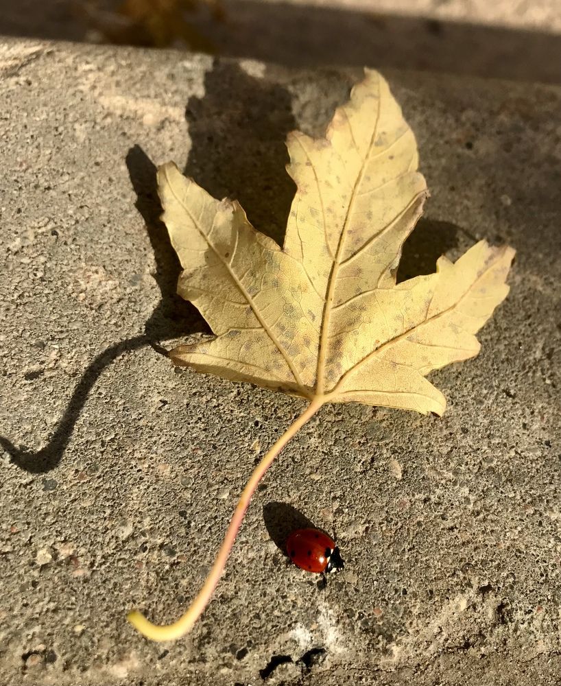 Photograph by Шестакова Наталья