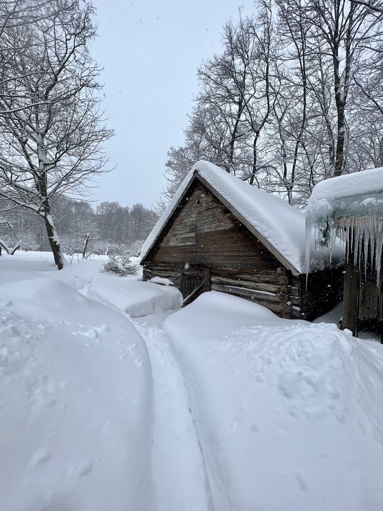 Photograph by Анна Лепихина